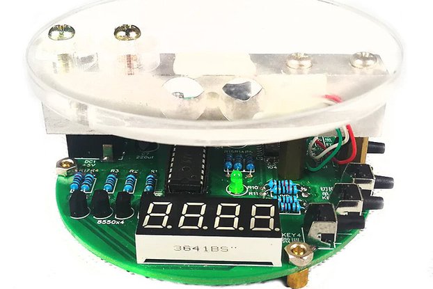 Single Chip Microcomputer Electronic Scale Product